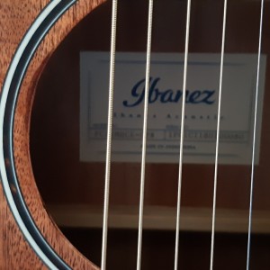 Ibanez akustična gitara