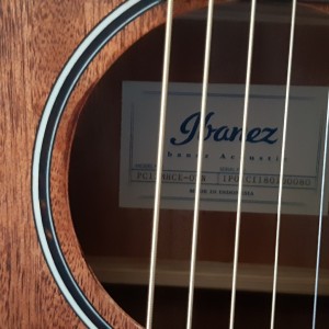 Ibanez akustična gitara