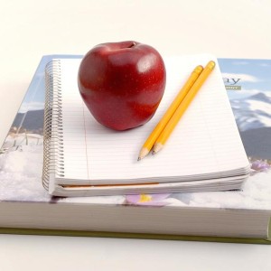 POMOć PRI UČENJU, klasične instrukcije ili online putem SKYPEA, VIBERA