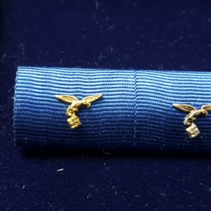 Luftwaffe umanjenica