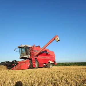 žitni kombajn Massey Ferguson 36rs