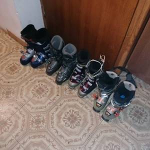 Pancerice munari, nordica, atomic br 42 - 43