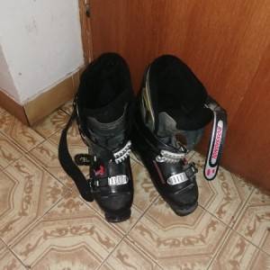 Pancerice munari, nordica, atomic br 42 - 43