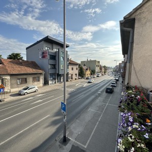 Prodaje se kuća s dvorištem u Ilici, Zagreb