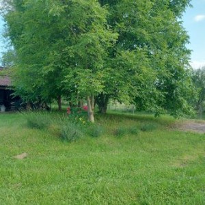 Građevinsko zemljište u Brezovici - 7 km od Arene Zagreb
