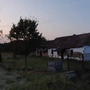 Prodajem staru nekretninu sa 1 jutro zemlje Drenovci Stanovi 34