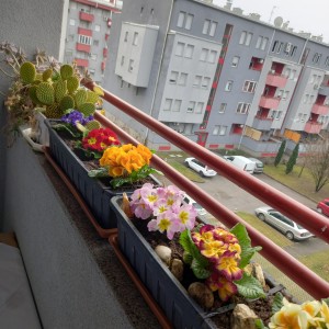 Stan Zagreb Vrbani iznajmljivanje