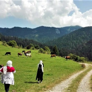Apartmantska kuća BellaMonte - Vlašić