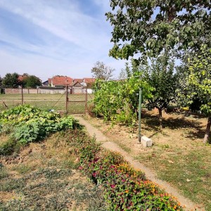 Uređena kuća - Vukovar (Sajmište)