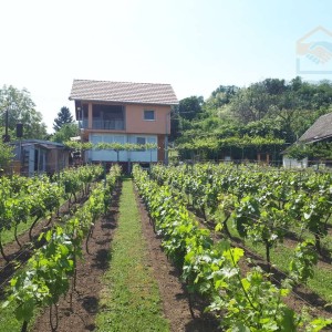 Aljmaš - vikendica/obiteljska kuća