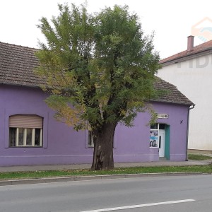 Kuća s lokalom u Vukovara, blizina centra