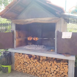 Aljmaš - vikendica/obiteljska kuća