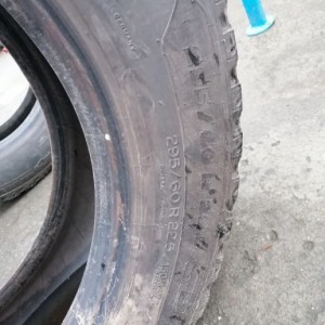 Gume Michelin 295/60/22,5 cjelogodišnja 2 kom - CIJENA PO KOMADU!