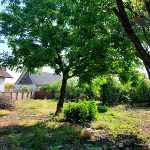 Stara slavonska kuća - Dalj