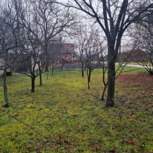 Kuća prizemnica - Đeletovci