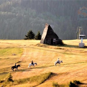 Apartmantska kuća BellaMonte - Vlašić