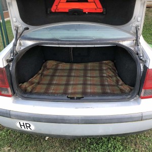 Passat 1.9 TDI, 1998. god.