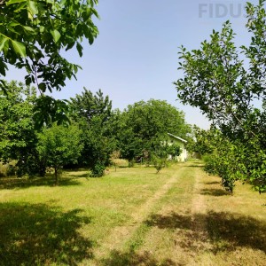 Vikendica s velikom okućnicom - Zmajevac