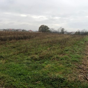 Građevinsko zemljište Brezovica – Odranski Obrež 3300 m2