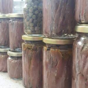 Inćuni i srdele u ulju