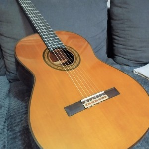 Koncertna gitara Yamaha G245S Vintage