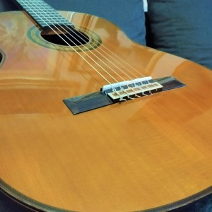 Koncertna gitara Yamaha G245S Vintage