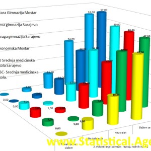 SPSS, AMOS, nVivo, Excel, statistika - Profesionalna Statistička Agencija - Vaš Pouzdan Partner