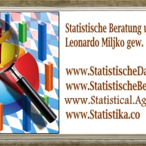 SPSS, AMOS, nVivo, Excel, statistika - Profesionalna Statistička Agencija - Vaš Pouzdan Partner