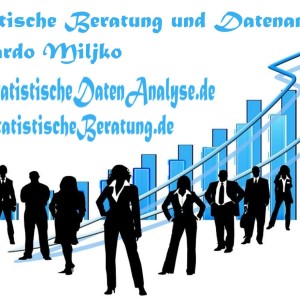 SPSS, AMOS, nVivo, Excel, statistika - Profesionalna Statistička Agencija - Vaš Pouzdan Partner