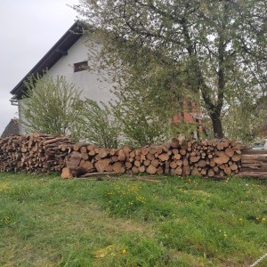 Drvo za ogrjev