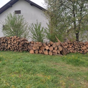 Drvo za ogrjev
