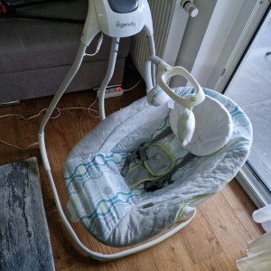 Elektricna ljuljačka Ingenuity Everston s okretnim sjedištem od 180 °