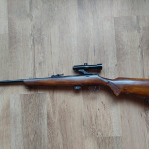 KARABIN I MALOKALIBARSKA PUŠKA