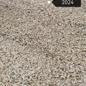 * Zob * Ječam * Pšenica * Tritikal * Raž * Kukuruz * 2024