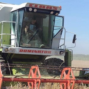 Prodajem Claas dominator 98 sl maxi