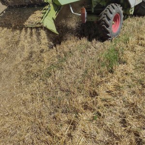 Prodajem Claas dominator 98 sl maxi