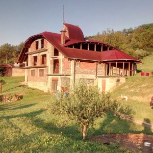KUĆA , VIROVITICA , prodaja (zamjena)