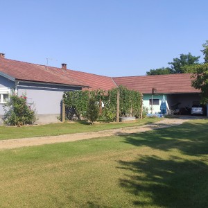 Prodajem kuću - Žlebina