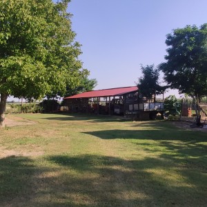 Prodajem kuću - Žlebina