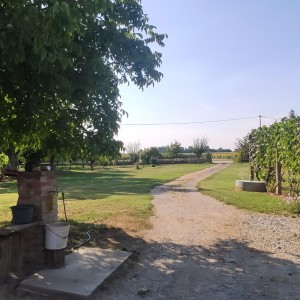 Prodajem kuću - Žlebina