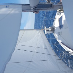 Ferretti Altura 33