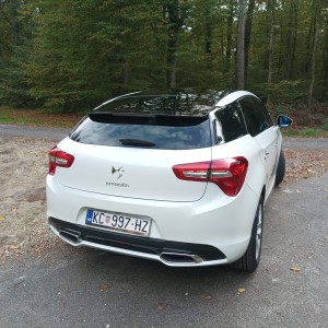 Ds 5