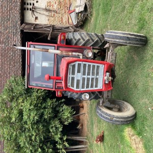 1982. IMT 560 imt