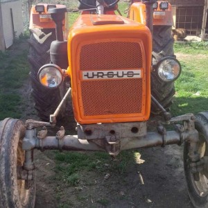 Ursus 335