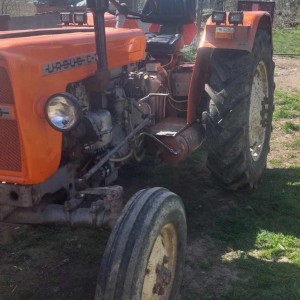 Ursus 335