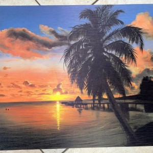 Reprodukcija 70 x 50 cm 43