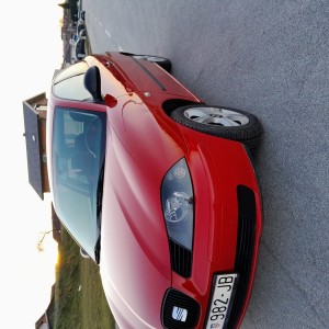 Ibiza sdi