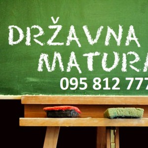 INDIVIDUALNE PRIPREME ZA DRŽAVNU MATURU - matematika, fizika, kemija, hrvatski jezik, biologija ...
