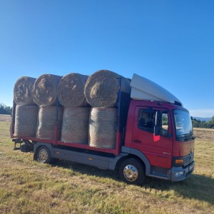 Mercedes Atego 817