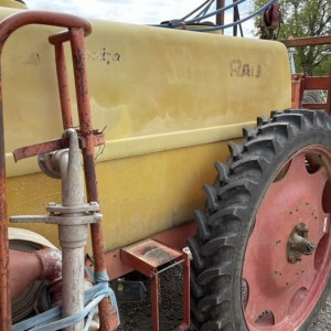 Rau
